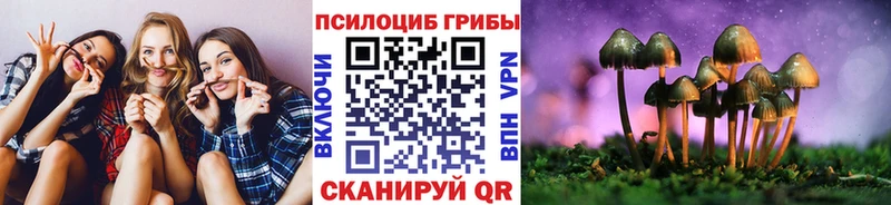 гидра ONION  Рославль  Галлюциногенные грибы GOLDEN TEACHER 