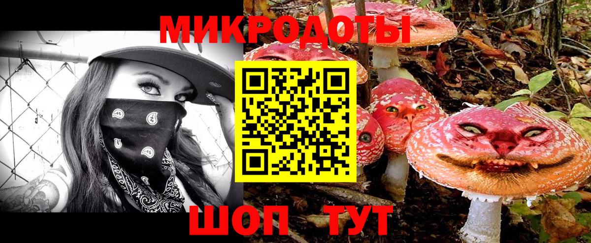 Рославль  Псилоцибиновые грибы ЛСД  Вход с VPN 