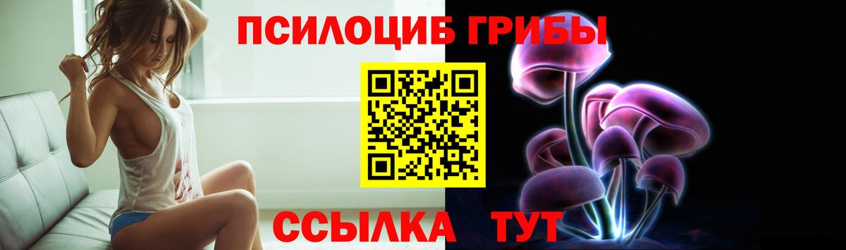 Галлюциногенные грибы Cubensis Рославль